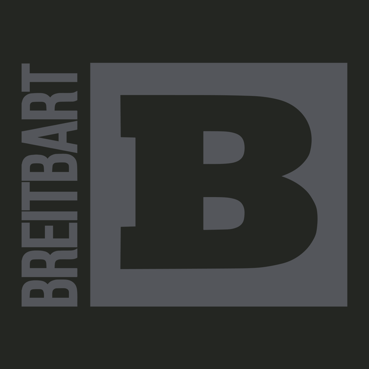 Official Breitbart Logo Long Sleeve T-Shirt - Black