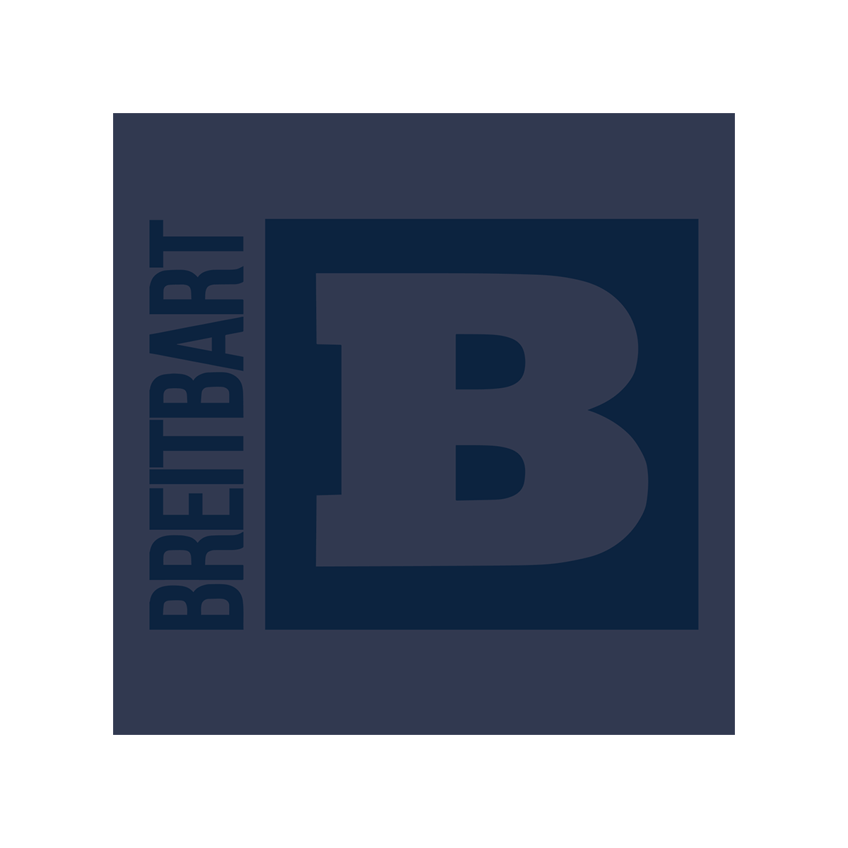 Breitbart Logo Long Sleeve T-Shirt - Navy