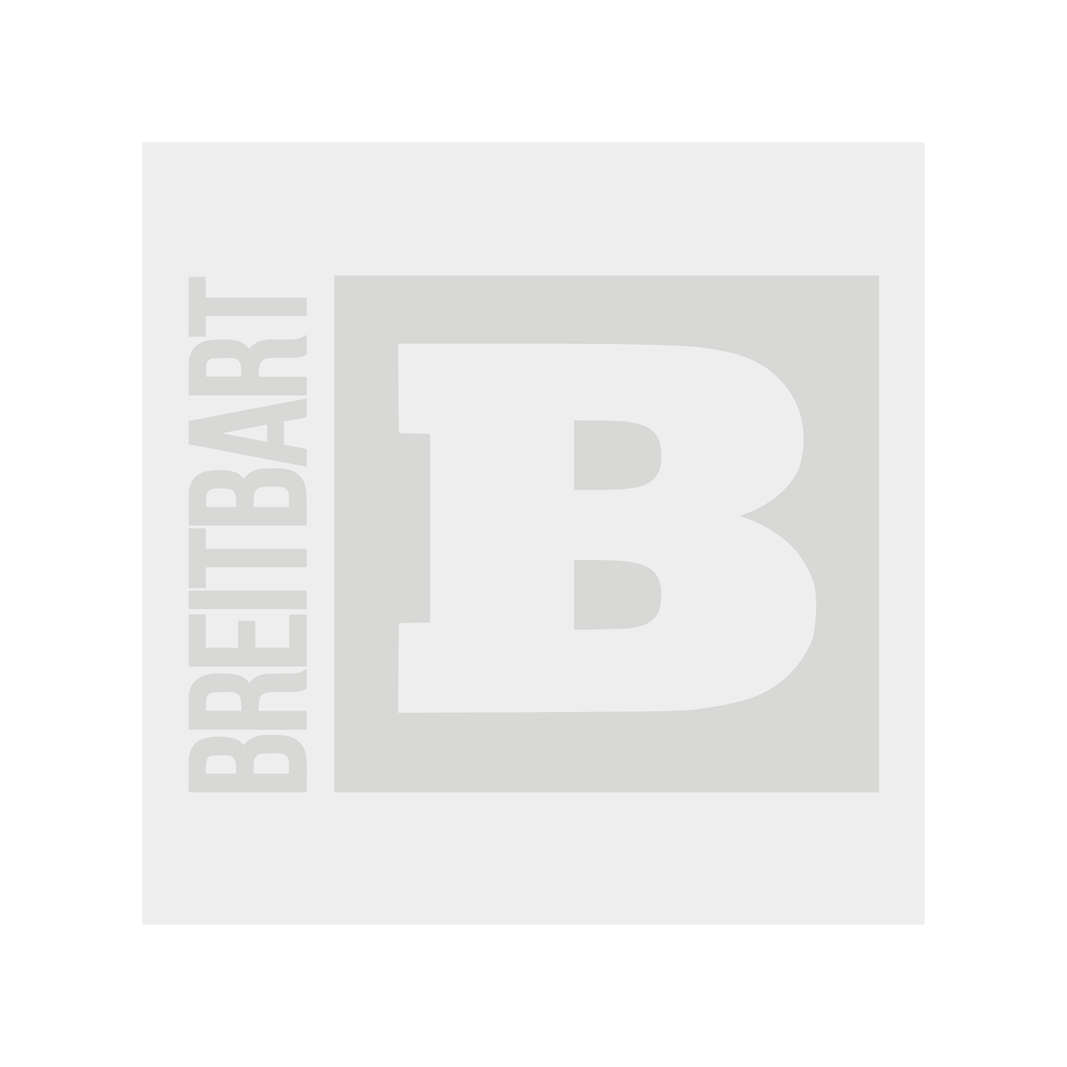Breitbart Logo Long Sleeve T-Shirt - White