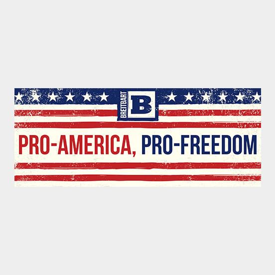 Pro-American Pro-Freedom Stickers - Set of 2