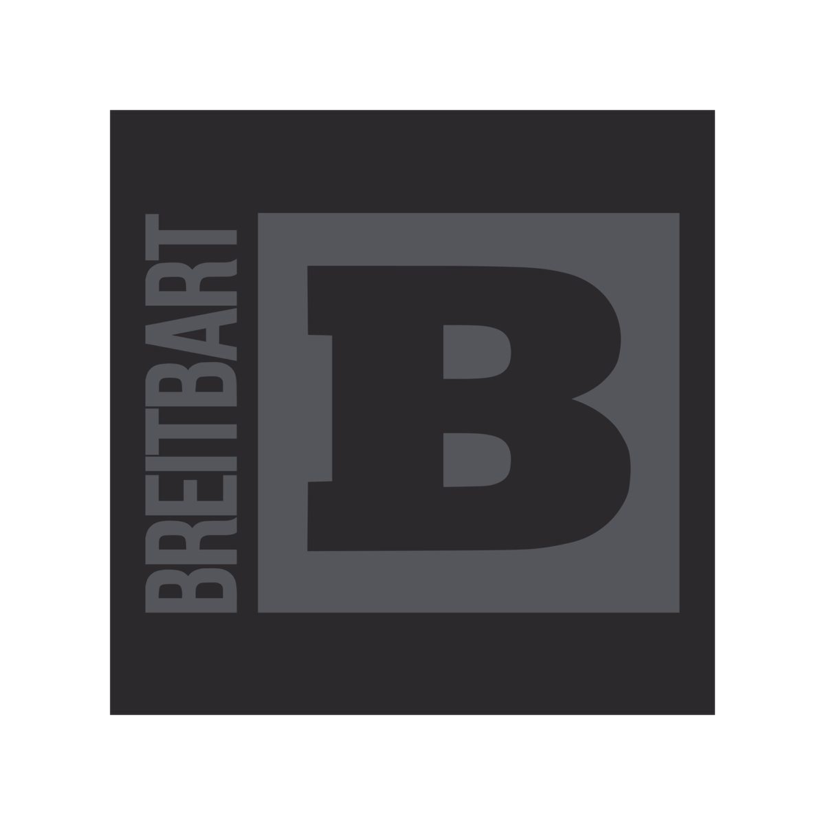 Breitbart Logo T-Shirt - Black