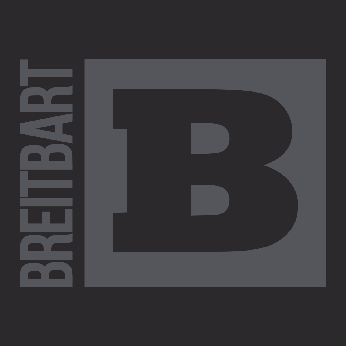 Official Breitbart Logo T-Shirt - Black