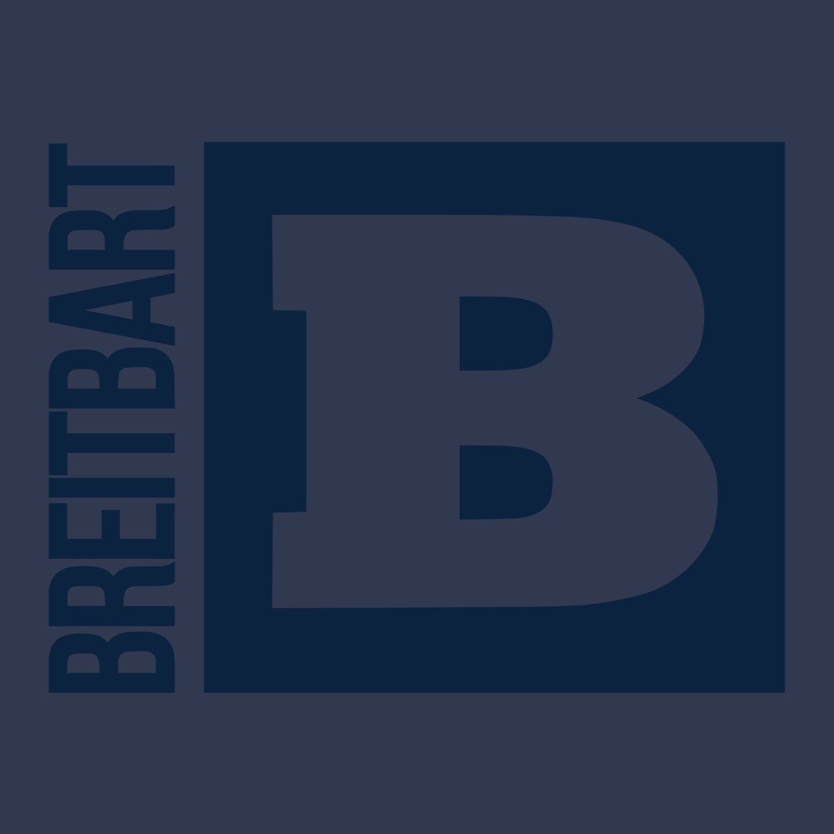 Official Breitbart Logo Long Sleeve T-Shirt - Navy