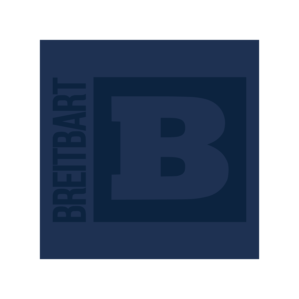 Breitbart Logo T-Shirt - Navy