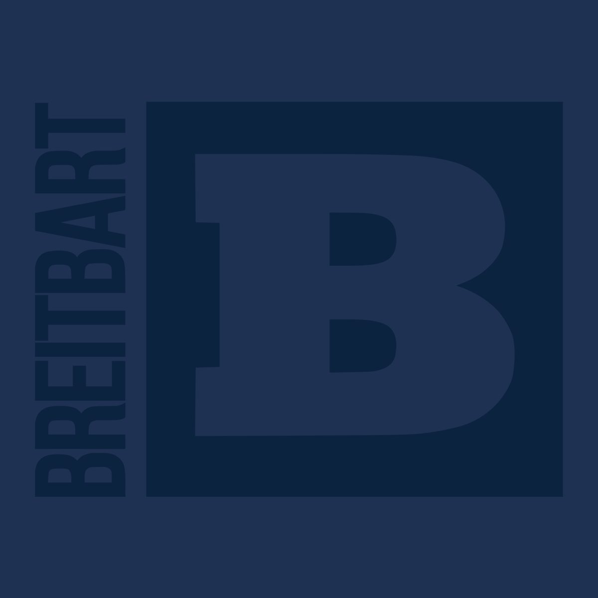 Official Breitbart Logo T-Shirt - Navy