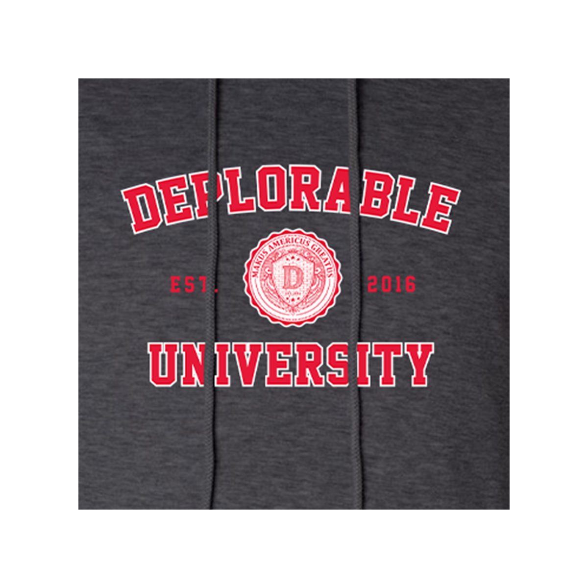 Deplorable University Hoodie Sweatshirt
